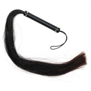 Gato de Pelo Caballo