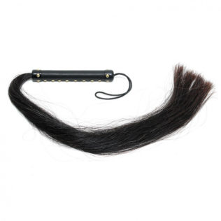 Gato de Pelo Caballo
