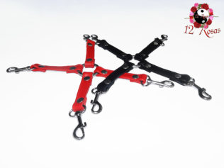 Hogtie Cruz