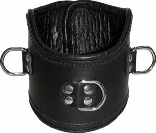 Collar de Posicionamiento