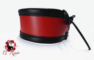Brazalete Alexicus