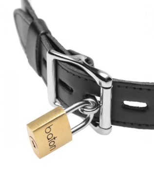Collar electro-estimulacion (Control Remoto)