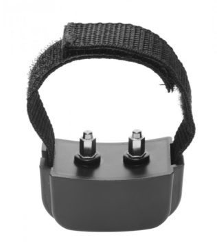 Anillo penareo (electro-sex c.remoto)